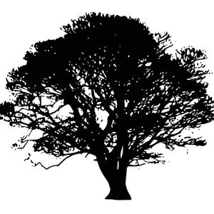 Wild Oaks Resale